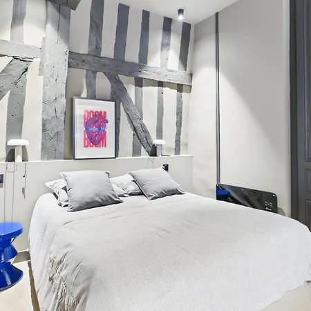 Apartmán Majorelle - Center Troyes